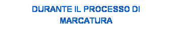 Casella di testo: VISTA LATERALE DEL SISTEMA DURANTE IL PROCESSO DI MARCATURA